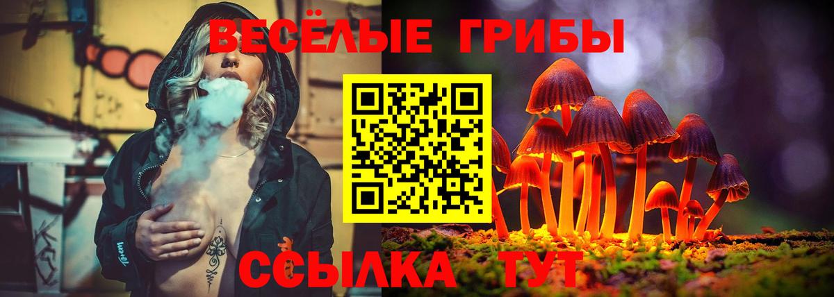Мелеуз  Псилоцибиновые грибы мухоморы  Вход с VPN 